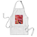 Clivia lily flower and origin aprons