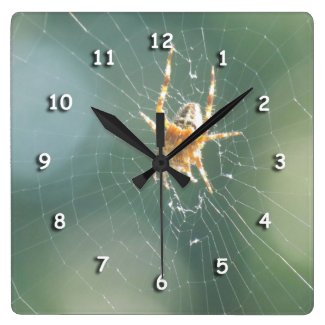 Clock - Spider on Web