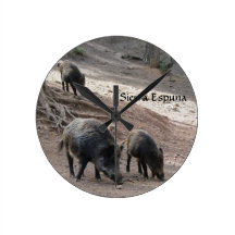 Clock - Wild Boar Sierra Espuna