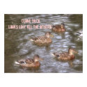 Clone duck posters