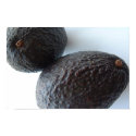 Close Avocados posters