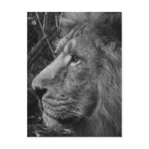 close bw postcards by dawnmcininch close bw postcards