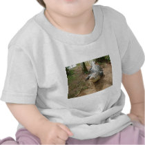 Close Call Shirts