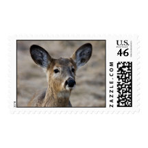 Close Encounter Postage Stamps