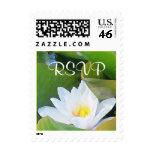 Close Lilypad  RSVP square Stamps