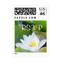 Close Lilypad  RSVP square stamps