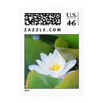 Close Lilypad square stamps