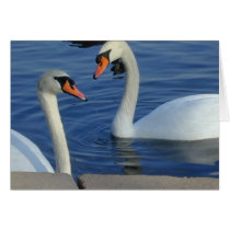 Close Swans card