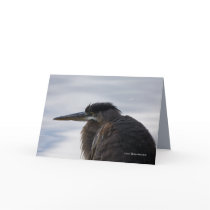 Close to a Heron Cards