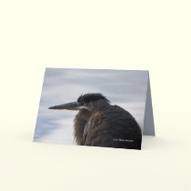 Close to a Heron cards