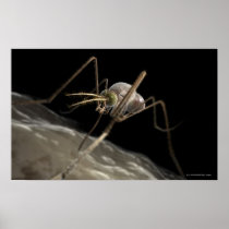 Close up 3d mosquito biting