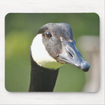Close up and Personal Goose Head Mouse Pad