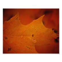 Close Up Autmn Leaf 8X10 Photo Art