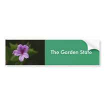 Close Up bumper stickers