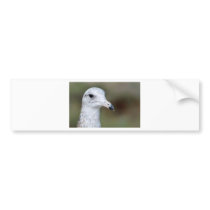 Close up bumper stickers