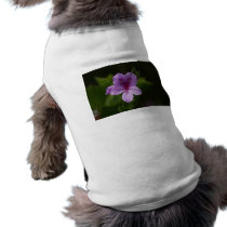 Close Up pet clothing