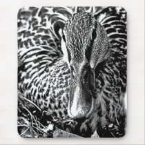 Close Up Duck Mousepad