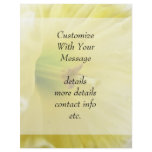 Close Up - Elegant Daffodil flyers