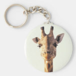 Close-Up Giraffe Key Chain