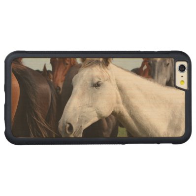 Close-up herd of horses. carved® maple iPhone 6 plus bumper