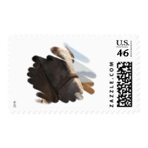 Close-up Horse Photo Postage Stamp