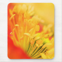Close Up - Iceland Poppy Mousepad