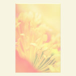 Close Up - Iceland Poppy stationery