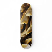 Close Up Image Of A Cone Skate Deck