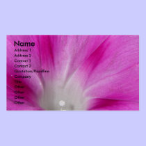 Close-up Morning Glory business cards
