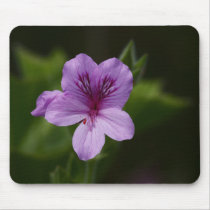 Close Up mousepads by Flowerpixels Close Up mousepads