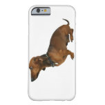 Close up of a dachshund barely there iPhone 6 case