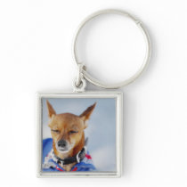 Close-up of a dog keychain