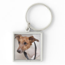 Close-up of a dog putting on a tie key chain