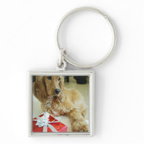 Close-up of a dog with a gift key chain