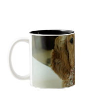 Close-up of a dog with a gift mugs