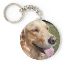 close up of a golden retriever dogs face keychains