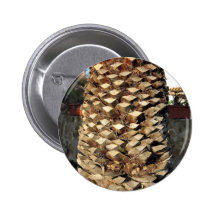 Close up of a palm tree pins