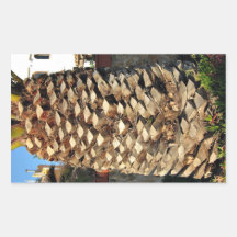 Close up of a palm tree rectangle stickers