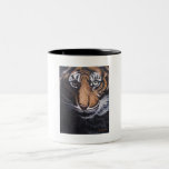CLOSE-UP OF A TIGER MUGS