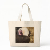 Close up of a Vulture Bag