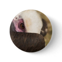 Close up of a Vulture Button Badge