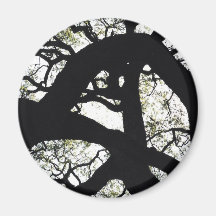 Close up of bare tree branches. refrigerator magnets
