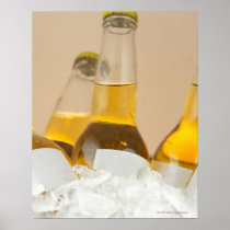Close-up of beer bottles in ice posters