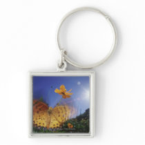 Close-up of butterfly, flapping wings keychain