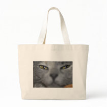 Close up of cat bags