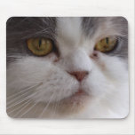Close-up of Cat Mousepad