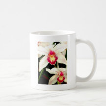 Close Up of Cymbidiums Mugs