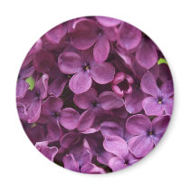 close up of dark purple lilac refrigerator magnets