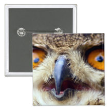 Close-up of eyes of eagle owl pinback button