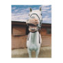 Close-up of Horse with Mouth Open Postcard